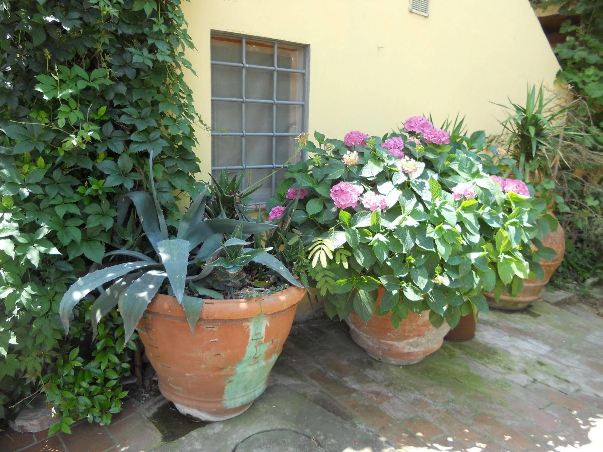 Agriturismo Le Macine Florencia Exterior foto
